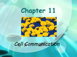 Chapter 11 - Cell Communication