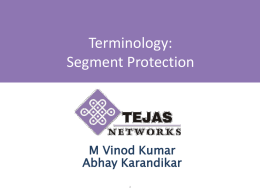 new-Vinod-Segment-Protection-Terminology-0509-v02.pptx