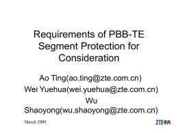 new-irene-Segment-Protection-Requirements-0309-v01.ppt