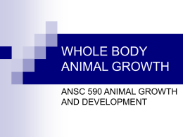 Whole Body Animal Growth