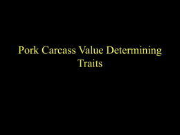 Pork Carcass Value