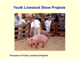 Purpose of Youth Livestock Projects