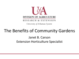Information on the benefits of a community garden
