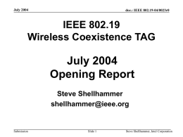 19-04-0023-00-0000-july-2004-opening-report.ppt