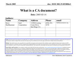 19-05-0006-01-0000-What-is-a-CA-doc.ppt