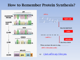 How to remember Protein Synthesis.ppt
