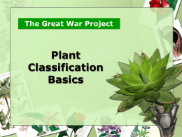 Basic Plant Classification