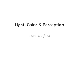 Light Color; Perception