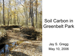 Soil Carbon in Greenbelt Park
