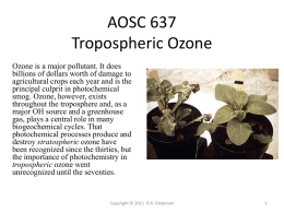Lecture Trop Ozone 2011(ppt)