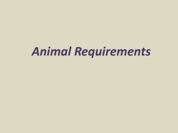 Powerpoint on Animal Requirements
