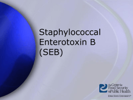 StaphEnterotoxinB