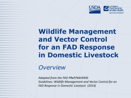 Wildlife Management 1 Overview PowerPoint