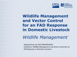 Wildlife Management 3 PowerPoint