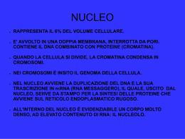 NUCLEO.ppt