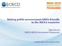 OECD: Making public procurement SMEs friendly in the MENA countries