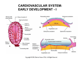 Cardiovascular Devel..