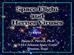 Spaceflight and Herpes Virus.ppt
