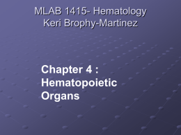 Hematopoietic Organs