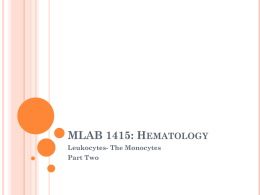 Leukocytes- The Monocytes