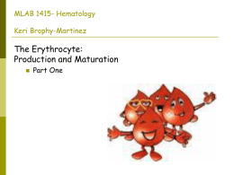 : Erythrocytes: Production and Maturation