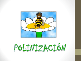 polinización.ppt