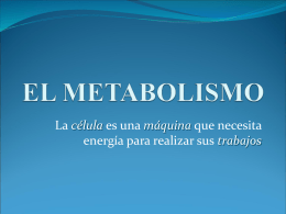 EL_METABOLISMO_CELULAR