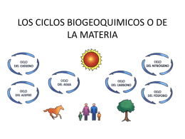 ciclos biogeoquÃ­micos