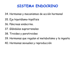 presentación de hormonas.ppt