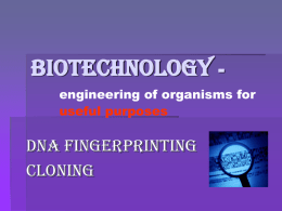 DNA Fingerprinting Notes