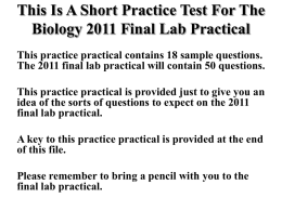 Practice Final Laboratory Practical