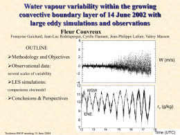Water vapour variability within the growing convective boundary layer of 14 June 2002 with large eddy simulations and observations (Couvreux)