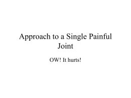 Approach to a Single Painful Joint