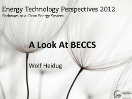 Wolf Heidug. A look at BECCS.pptx in Powerpoint-format (1.0 MB)