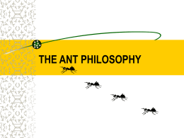 ANT PHILOSOPHY - a lesson from the tiny!