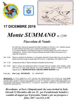 17 M. SUMMANO - Schio