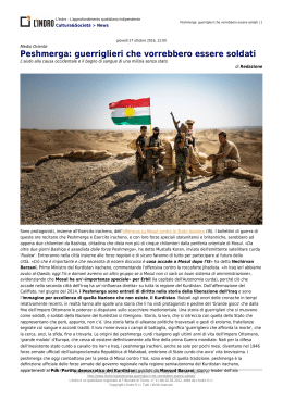Peshmerga: guerriglieri che vorrebbero essere soldati