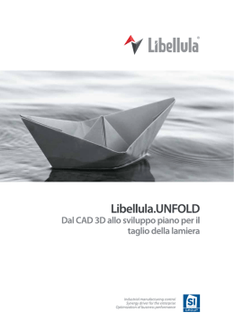 Libellula.UNFOLD_IT_02_01_trac