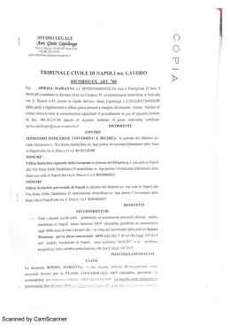 Nuovo documento 47