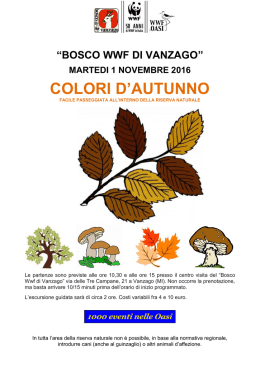 colori d`autunno - Bosco WWF di Vanzago