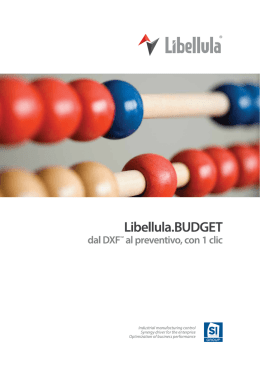 Libellula.BUDGET_IT_02_03_trac