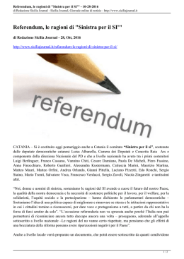 Referendum, le ragioni di