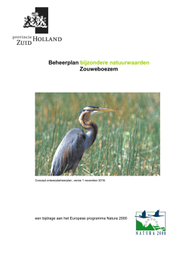 the PDF file Concept ontwerpbeheerplan N2000