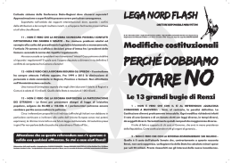 Lega Nord Flash n. 82 - PERCHE` DOBBIAMO VOTARE NO