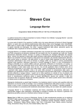 Steven Cox - annarumma gallery
