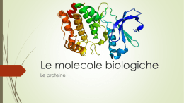 Le molecole biologiche