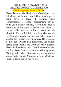 PERCORSO 2016 (strade toccate)