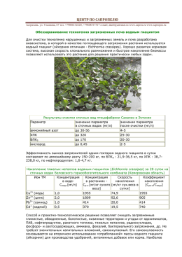 Обеззараживание техногенно загрязненных почв водным гиацинтом