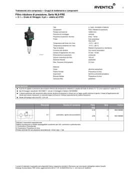 Filtro riduttore di pressione, Serie NL6-FRE
