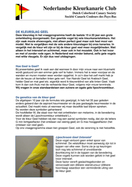 Geel serie - Nederlandse Kleurkanarie Club